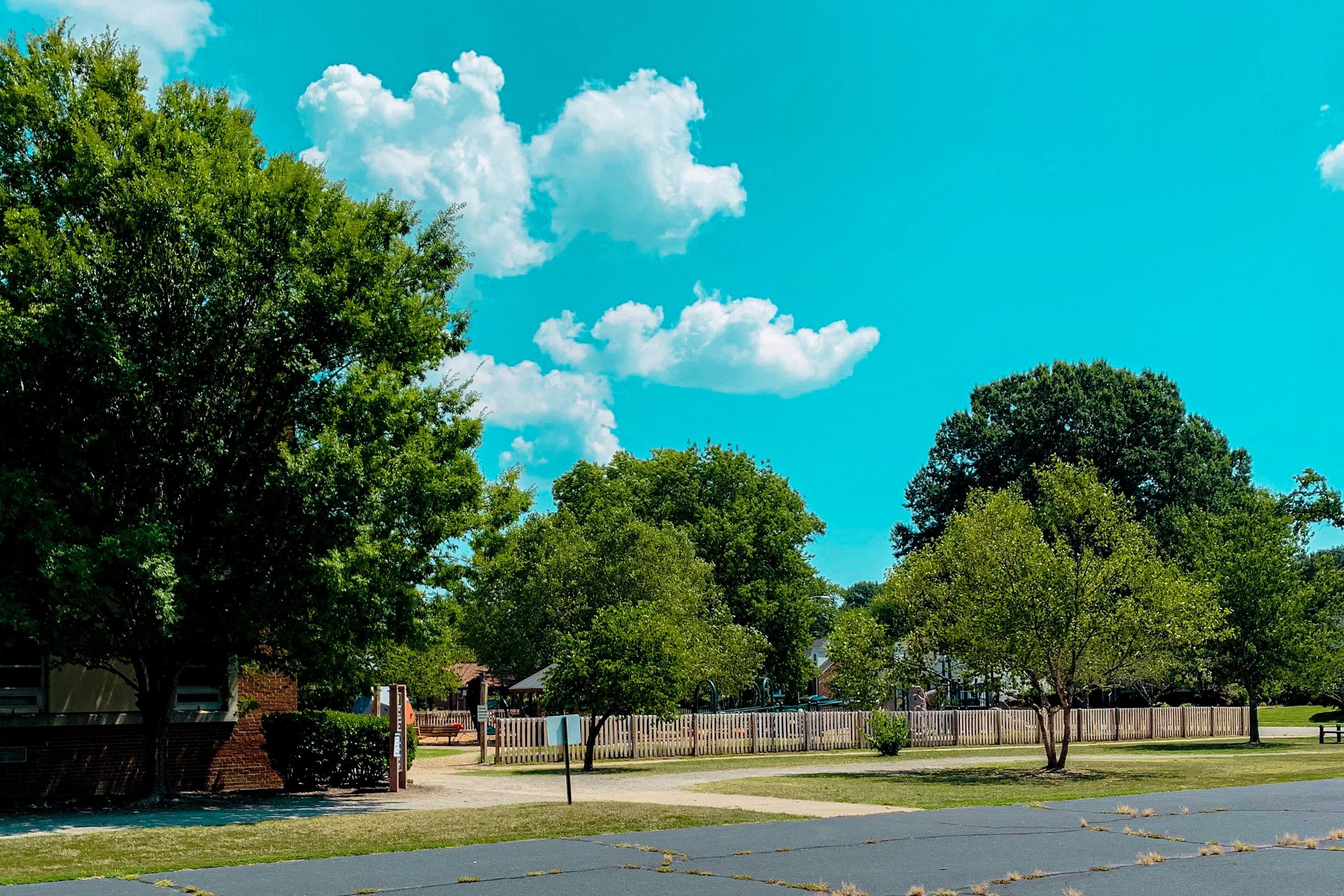 Park with Trees